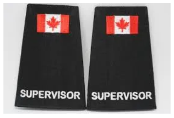 Security and Security Supervisor Epaulettes